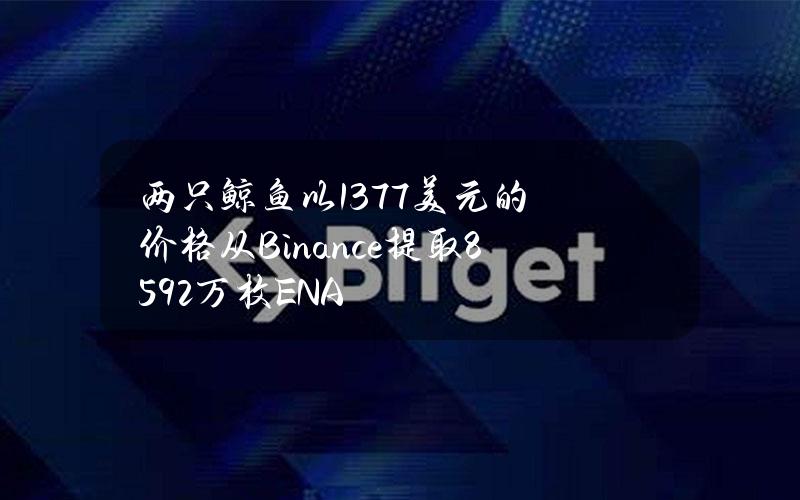 两只鲸鱼以1.377美元的价格从Binance提取859.2万枚ENA