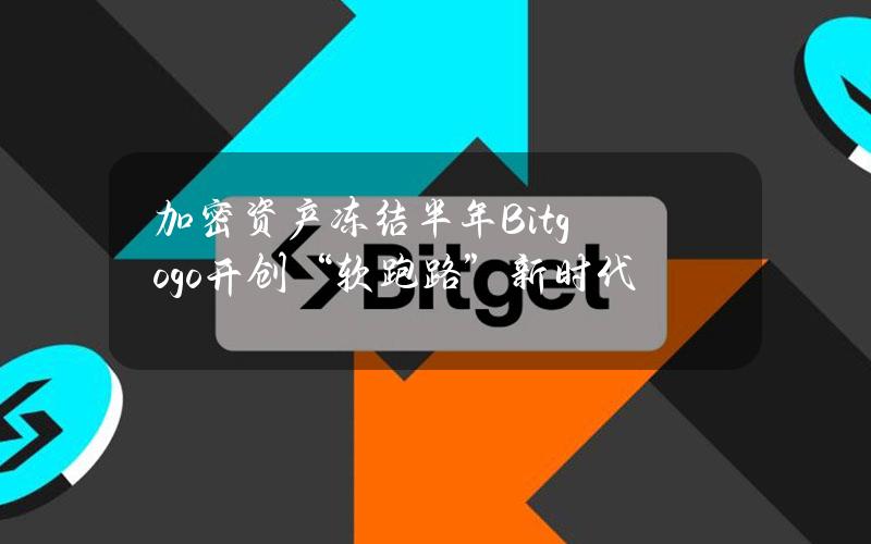 加密资产冻结半年？Bitgogo开创“软跑路”新时代