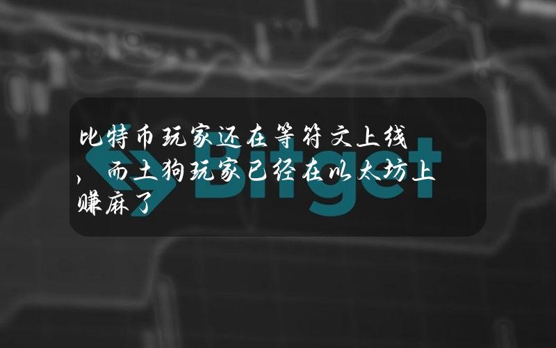 比特币玩家还在等符文上线，而土狗玩家已经在以太坊上赚麻了