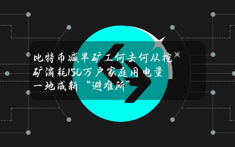 比特币减半矿工何去何从？挖矿消耗150万户家庭用电量一地成新“避难所”