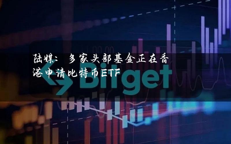 陆媒：多家头部基金正在香港申请比特币ETF