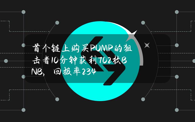 首个链上购买PUMP的狙击者10分钟获利702枚BNB，回报率234%