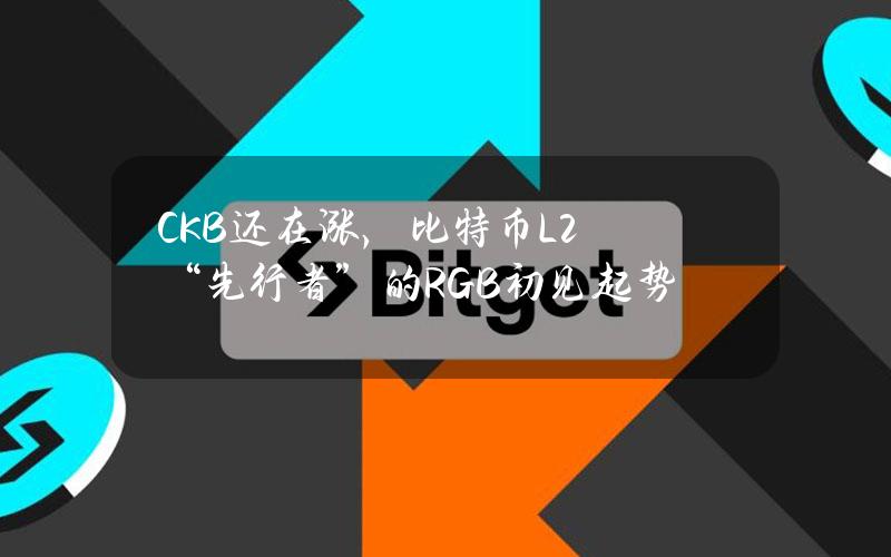 CKB还在涨，比特币L2“先行者”的RGB++初见起势