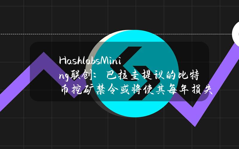 HashlabsMining联创：巴拉圭提议的比特币挖矿禁令或将使其每年损失2亿美元