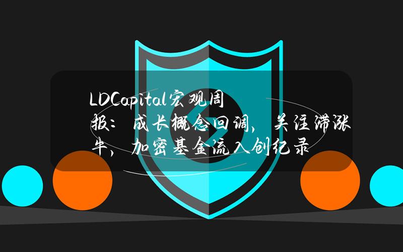 LDCapital宏观周报：成长概念回调，关注滞涨牛，加密基金流入创纪录