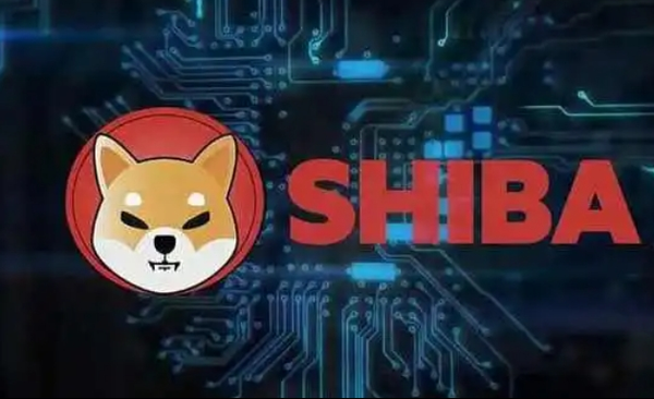   shib在哪购买?Bitget带你一文了解