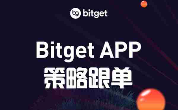   输入Bitget官网域名，体验VIP 特权